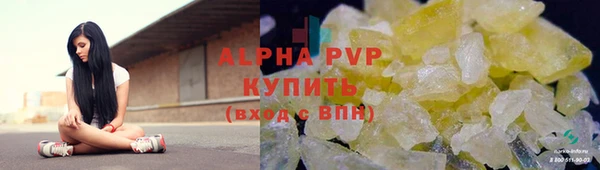 индика Арсеньев