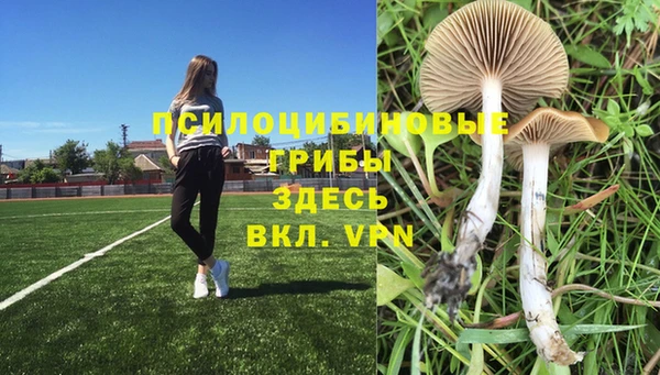 apvp Алексеевка