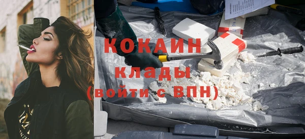 крисы Алзамай