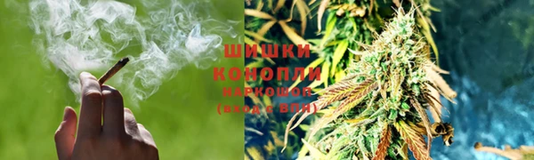 крисы Алзамай
