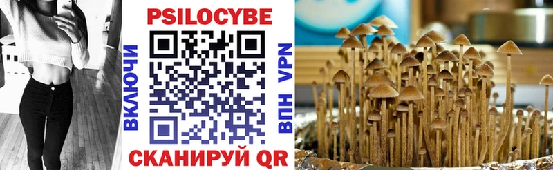 Псилоцибиновые грибы Magic Shrooms  Грайворон 